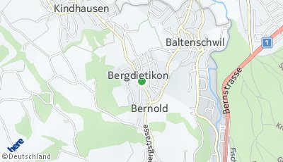 Standort Bergdietikon (AG)